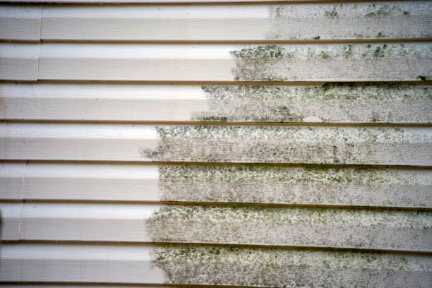 Best Carpet Removal and Disposal  in Hebron, IN