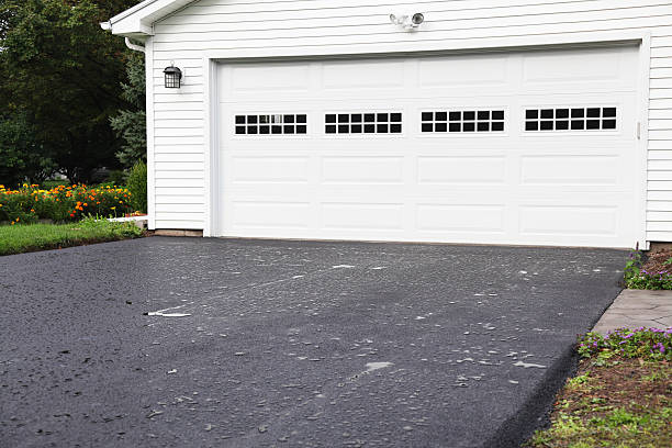Best Basement Cleanout  in Hebron, IN